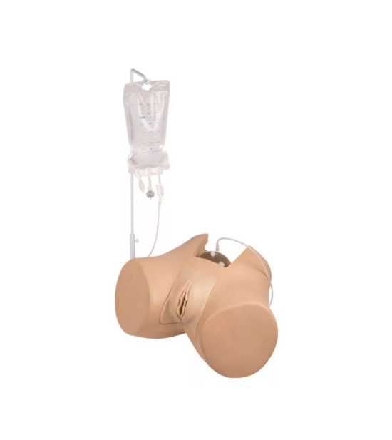 Blasenkatheterisierungs - Simulator „Florence“, weiblich – realistisches Trainingsmodell für die transurethrale Katheterisierung - Erler - Zimmer